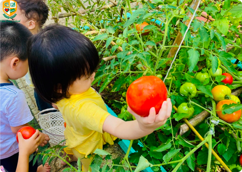 Thần Đồng School – Đơn vị tiên phong phát triển giáo dục mầm non chất lượng cao tại Bình Phước