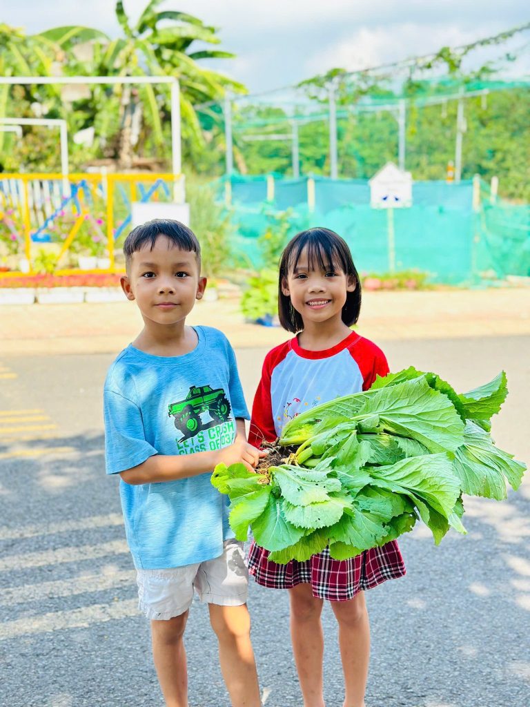 thu hoach rau xanh Tai Truong Mam Non Than Dong Ta Be 10