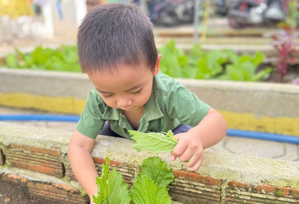 Khi cac nong dan nhi lop goldfish thu hoach niem vui tu vuon truong 1