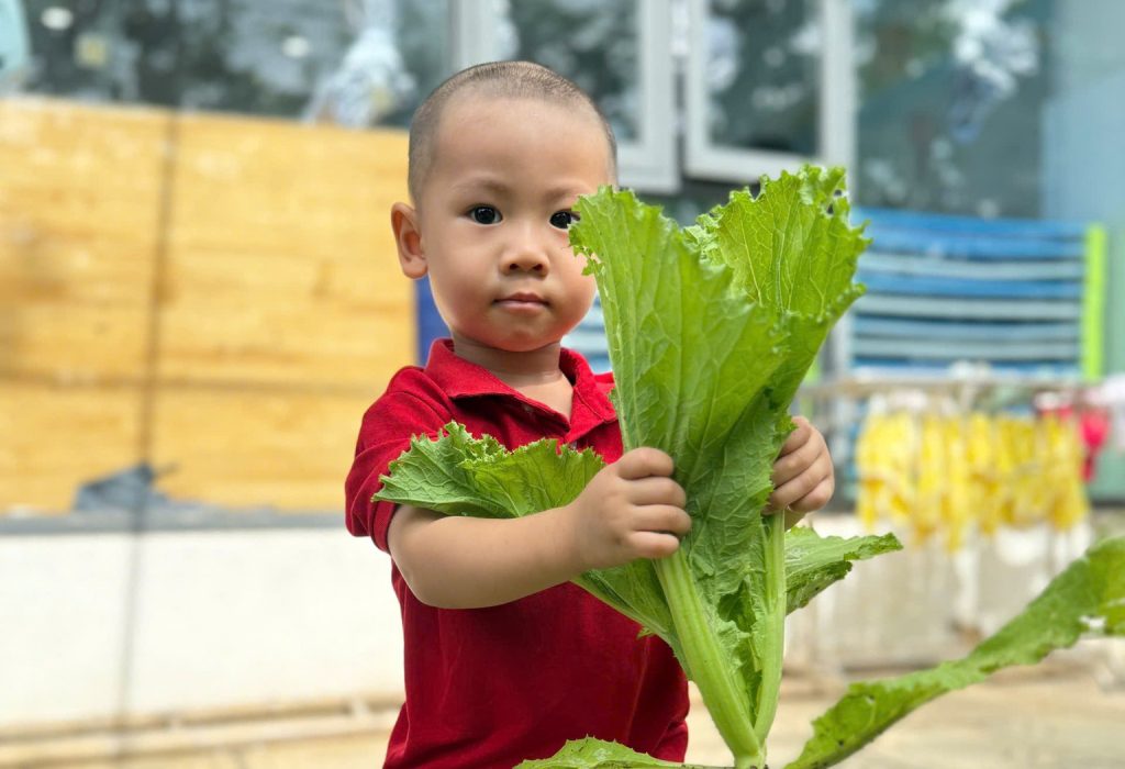 Khi cac nong dan nhi lop goldfish thu hoach niem vui tu vuon truong 2