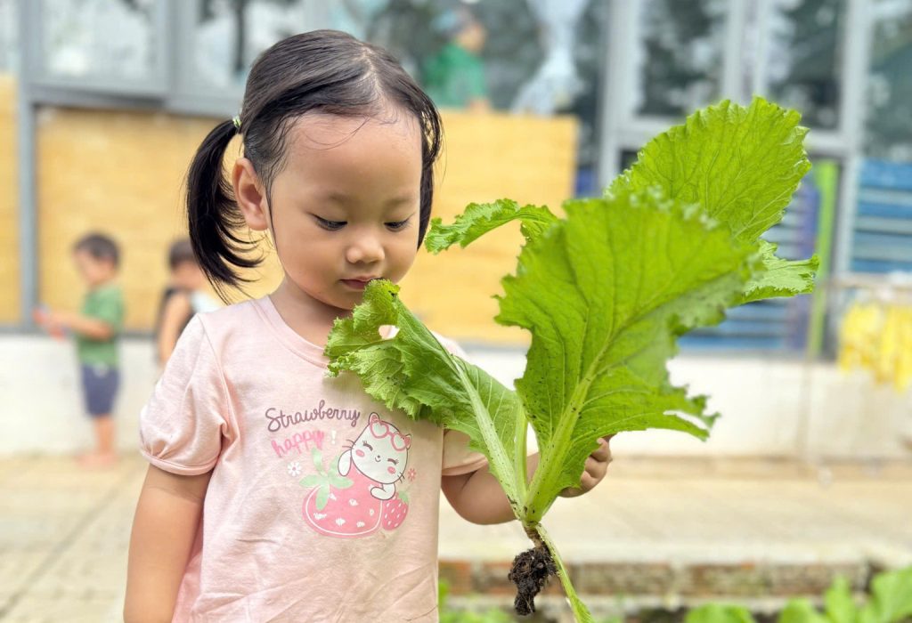 Khi cac nong dan nhi lop goldfish thu hoach niem vui tu vuon truong 3