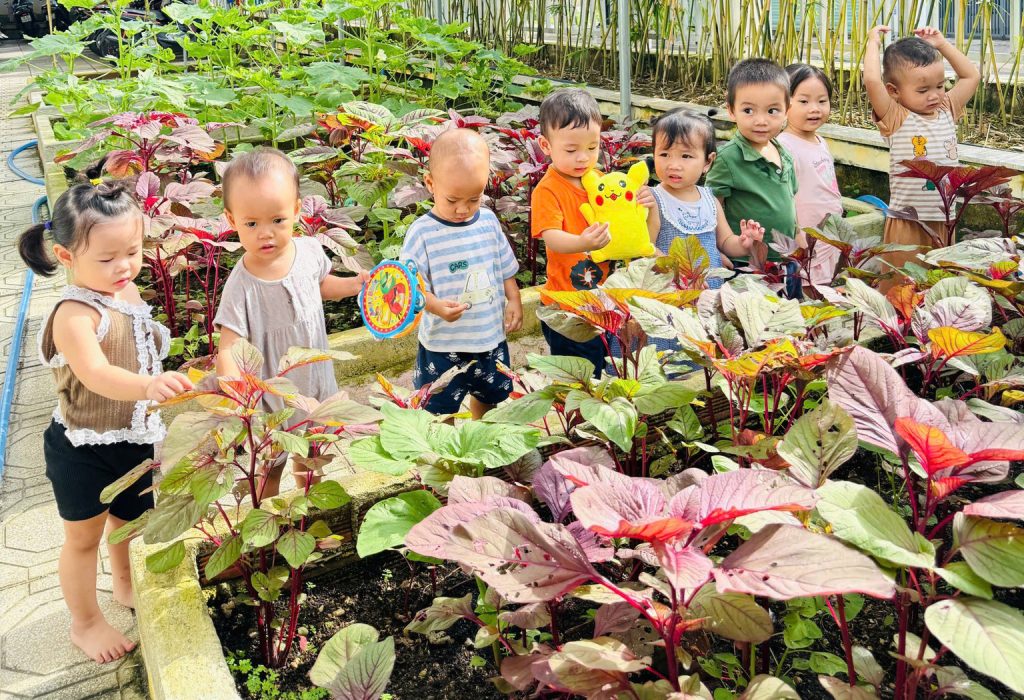 Khi cac nong dan nhi lop goldfish thu hoach niem vui tu vuon truong 4