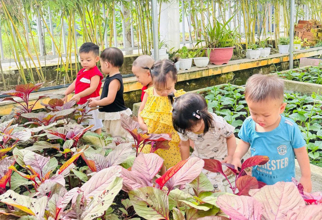Khi cac nong dan nhi lop goldfish thu hoach niem vui tu vuon truong 5