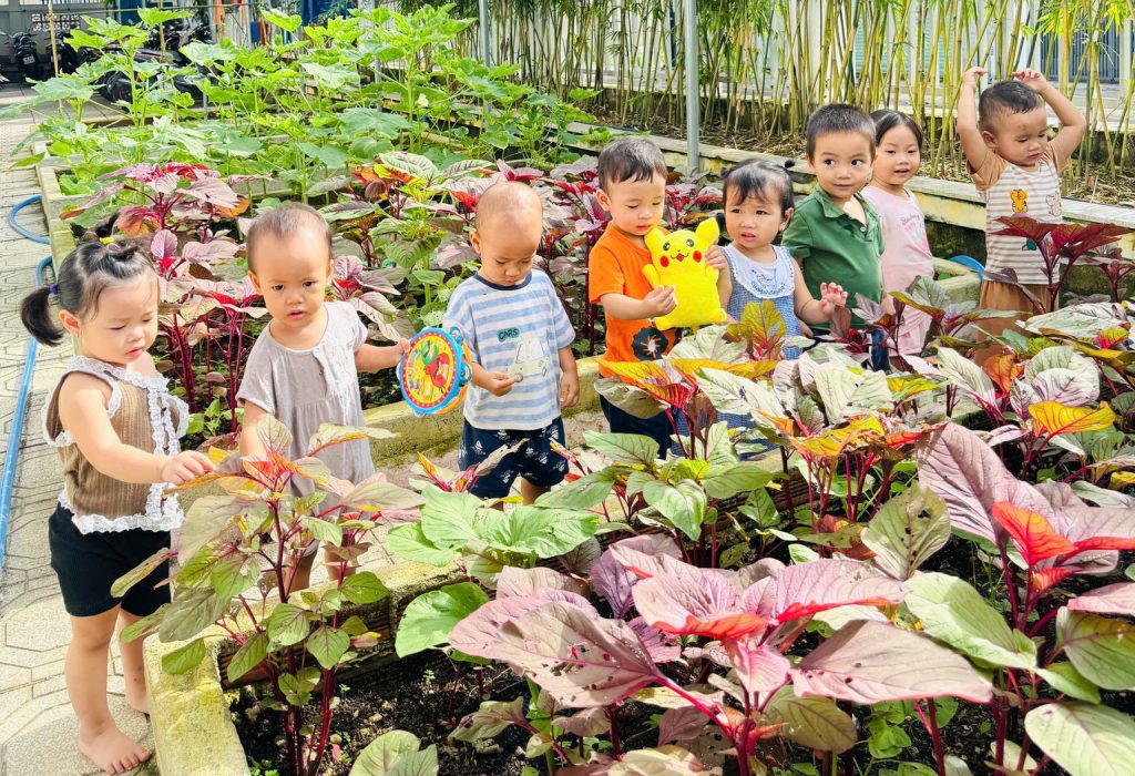 Khi cac nong dan nhi lop goldfish thu hoach niem vui tu vuon truong 6