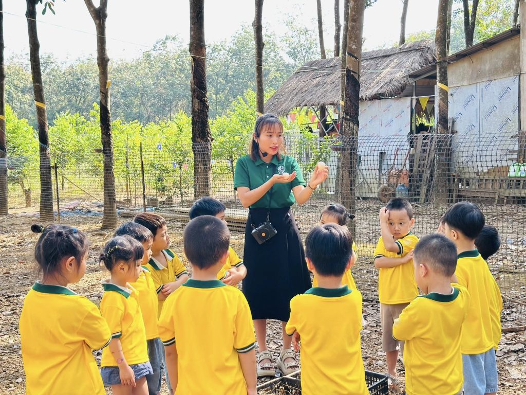 Các bé khối Chồi trải nghiệm thực tế tại trại gà thả vườn và khám phá cuộc sống nông trại Cac be khoi Choi trai nghiem thuc te tai trai ga tha vuon va kham pha cuoc song nong trai 1