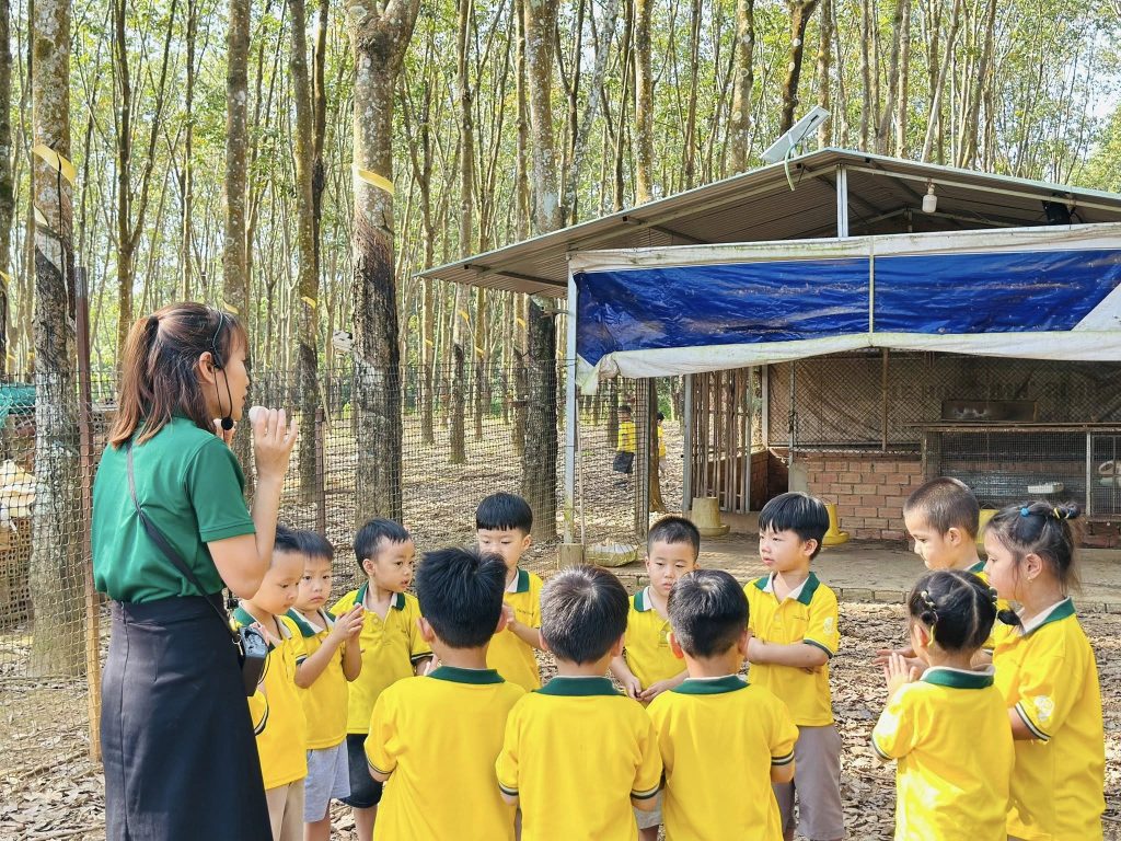 Các bé khối Chồi trải nghiệm thực tế tại trại gà thả vườn và khám phá cuộc sống nông trại Cac be khoi Choi trai nghiem thuc te tai trai ga tha vuon va kham pha cuoc song nong trai 2