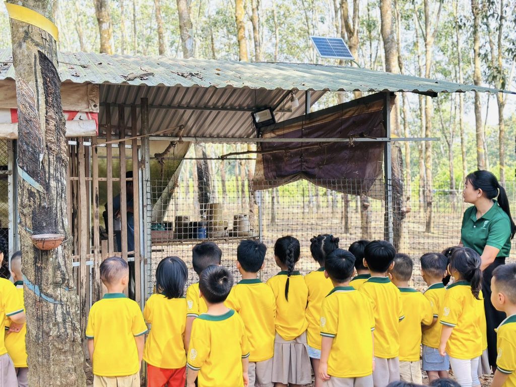 Các bé khối Chồi trải nghiệm thực tế tại trại gà thả vườn và khám phá cuộc sống nông trại Cac be khoi Choi trai nghiem thuc te tai trai ga tha vuon va kham pha cuoc song nong trai 3