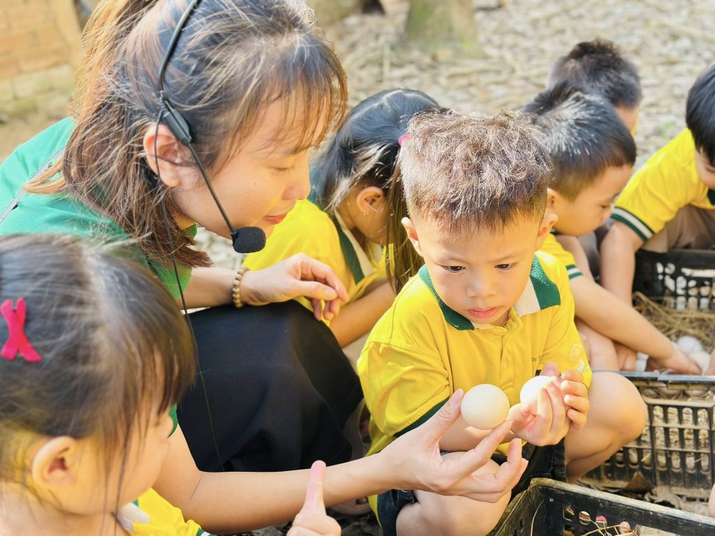 Các bé khối Chồi trải nghiệm thực tế tại trại gà thả vườn và khám phá cuộc sống nông trại Cac be khoi Choi trai nghiem thuc te tai trai ga tha vuon va kham pha cuoc song nong trai 5