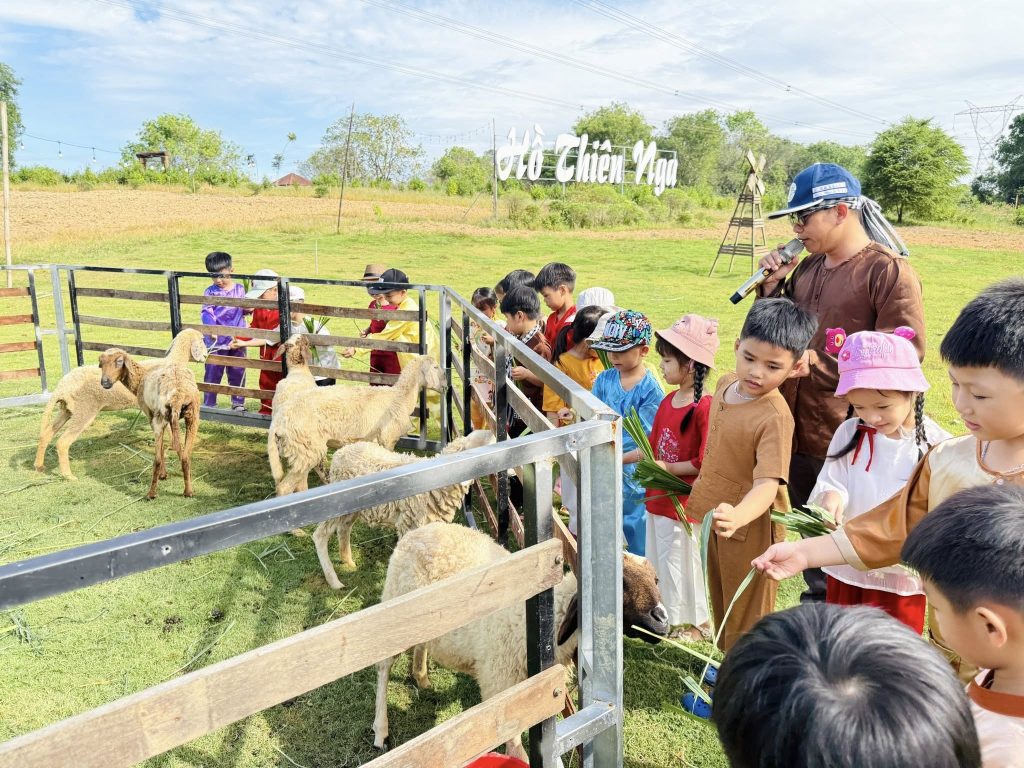 Hành trình khám phá Nông trại Quả Điều Vàng của các bé khối Lá Mầm non Thần Đồng Hanh trinh kham pha Nong trai Qua Dieu Vang cua cac be khoi La Mam non Than Dong 5